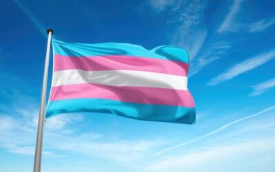 OPPRESSIVE BILLS HIT THE SENATE